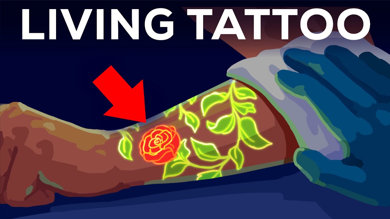 The Immune Systems Role For Getting A Tattoo